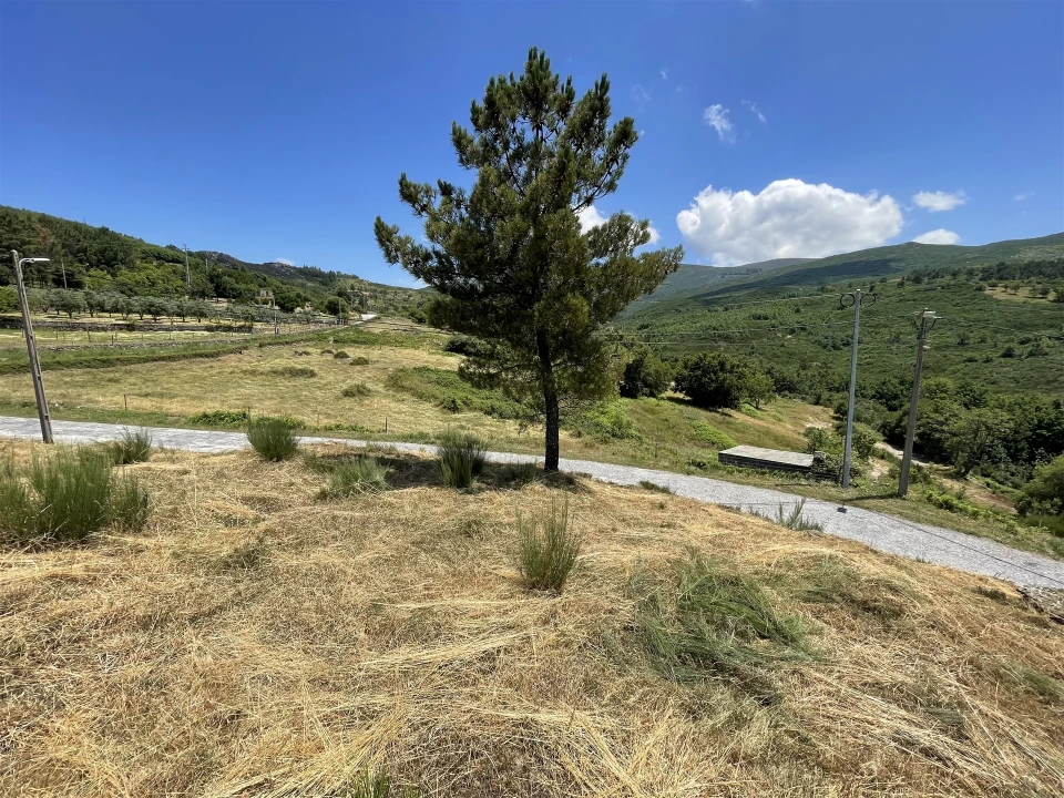 Terreno para Venda em Gouveia (São Pedro e São Julião) Foto 3