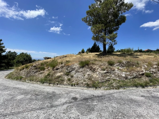 Terreno para Venda em Gouveia (São Pedro e São Julião) Foto 5