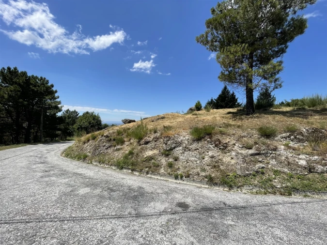 Terreno para Venda em Gouveia (São Pedro e São Julião) Foto 7