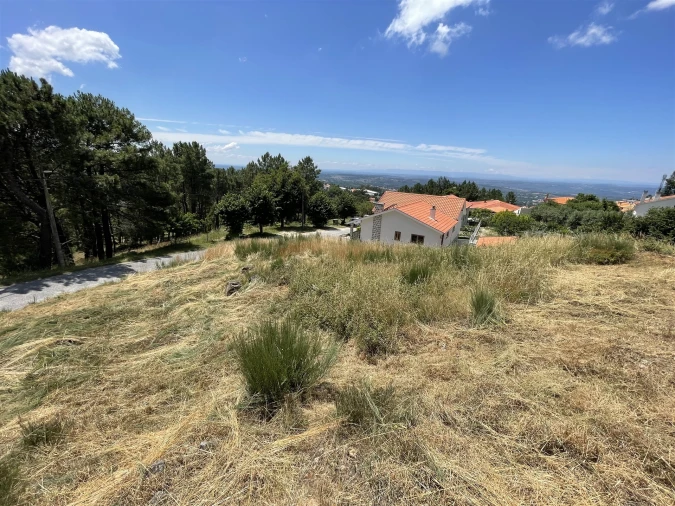 Terreno para Venda em Gouveia (São Pedro e São Julião) Foto 5