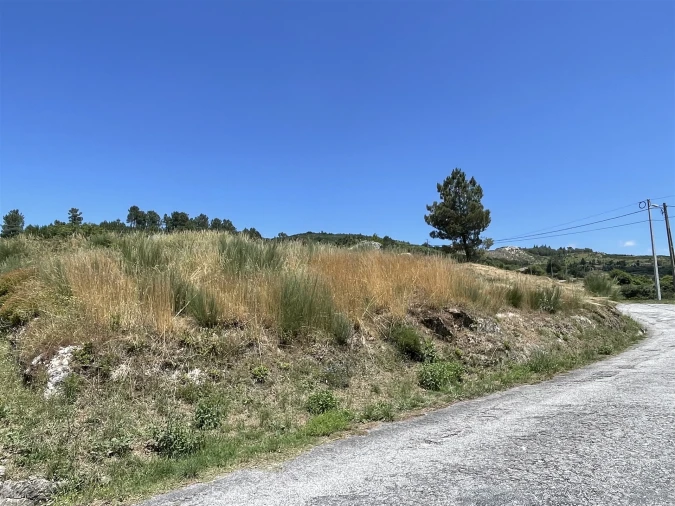 Terreno para Venda em Gouveia (São Pedro e São Julião) Foto 3