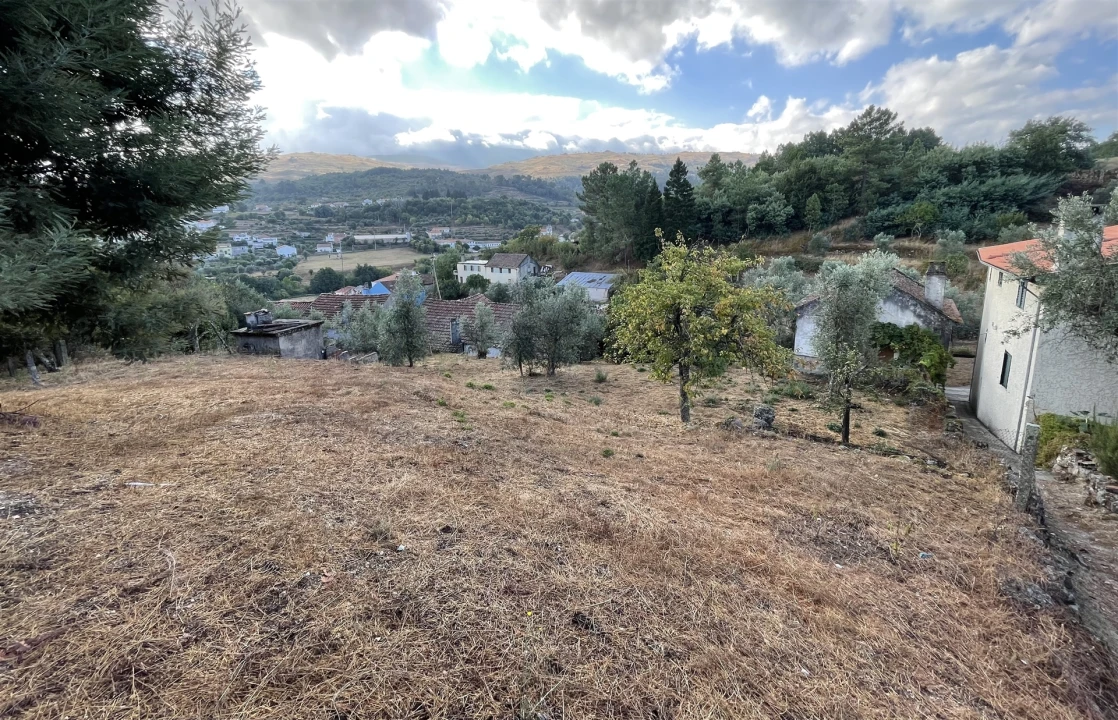 Moradia T0 para Venda em São Paio Foto 1