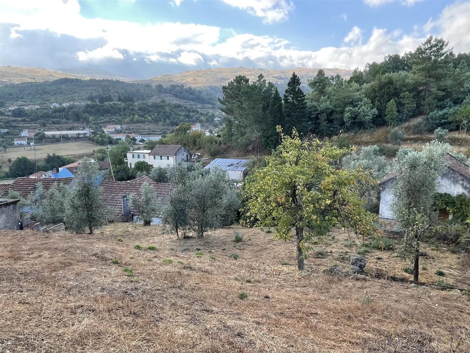 Moradia T0 para Venda em São Paio Foto 12