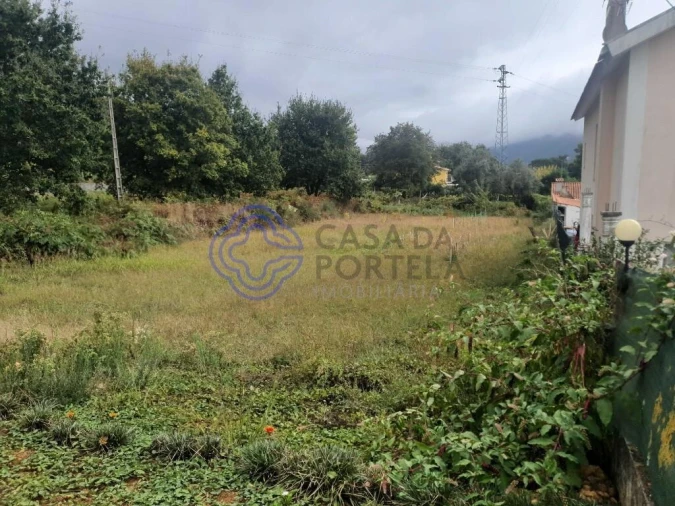 Terreno para Venda em Seixas Foto 3