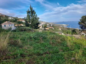 Terreno para Venda em Gaula