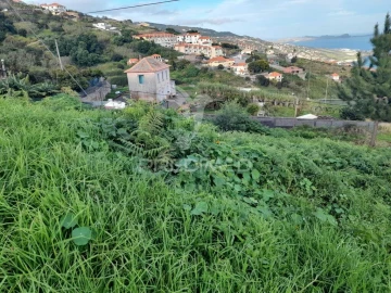 Terreno para Venda em Gaula