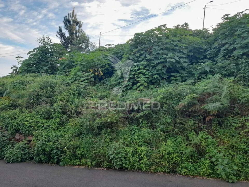 Terreno para Venda em Gaula Foto 5