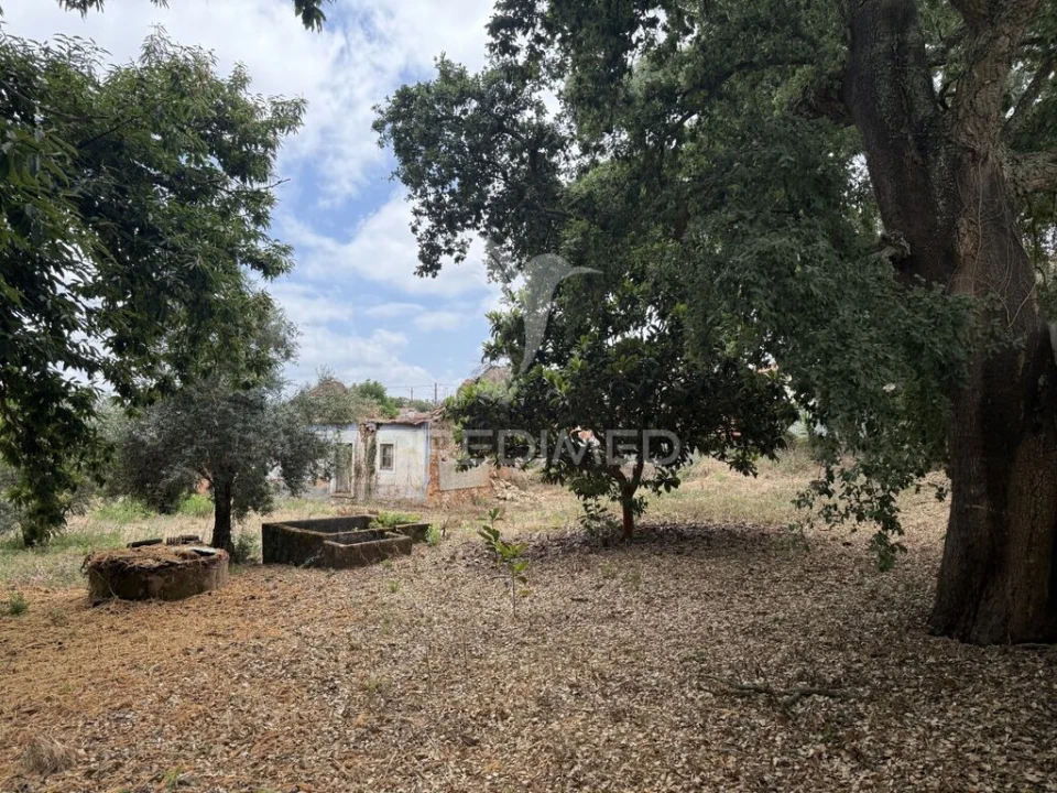 Moradia T3 para Venda em Freixianda, Ribeira do Fárrio e Formigais Foto 16