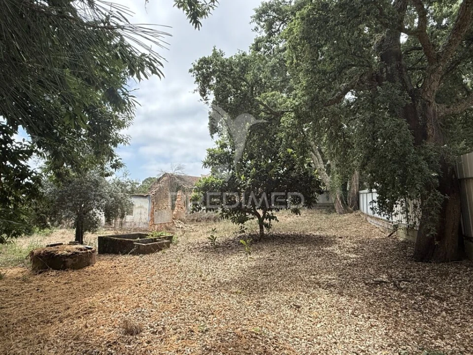 Moradia T3 para Venda em Freixianda, Ribeira do Fárrio e Formigais Foto 12