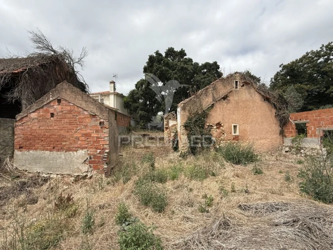 Moradia T3 para Venda em Freixianda, Ribeira do Fárrio e Formigais Foto 3