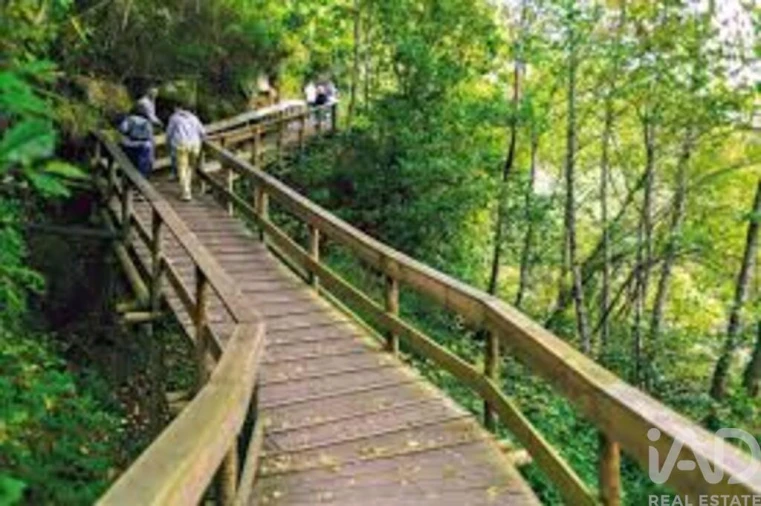 Apartamento T2 para Venda em Arcos de Valdevez (São Paio) e Giela Foto 15