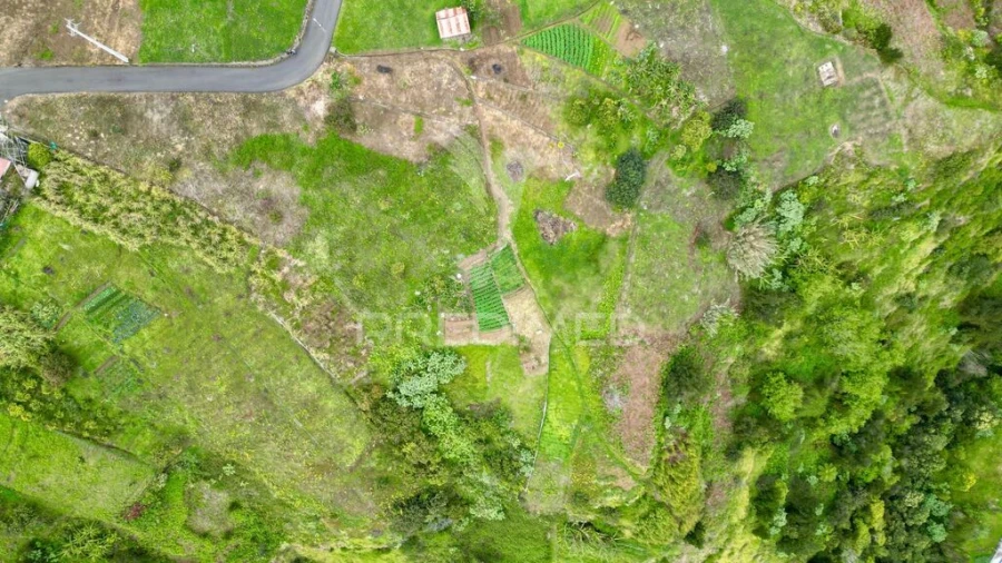 Terreno para Venda em Porto da Cruz Foto 8