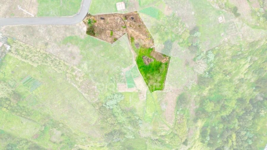 Terreno para Venda em Porto da Cruz Foto 6