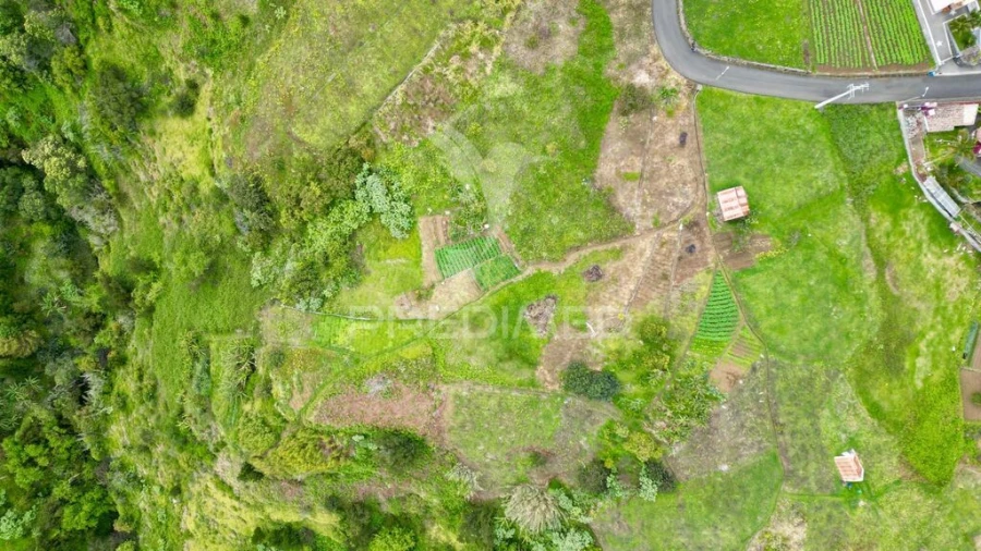 Terreno para Venda em Porto da Cruz Foto 7