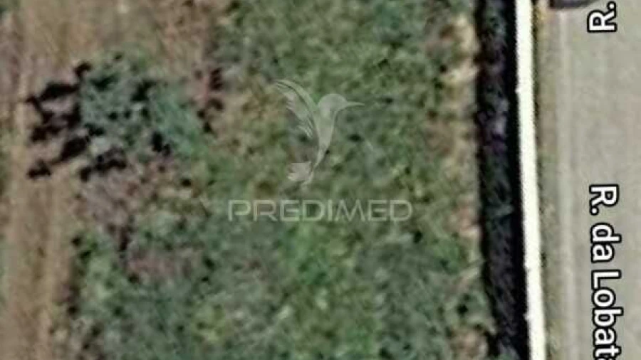 Terreno para Venda em Salvada e Quintos