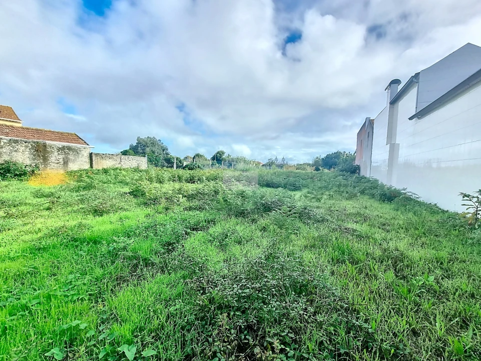 Terreno para Venda em Ílhavo (São Salvador) Foto 4