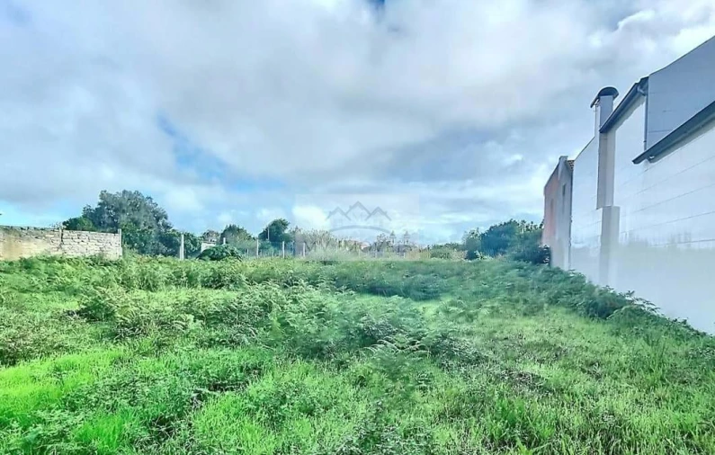 Terreno para Venda em Ílhavo (São Salvador)