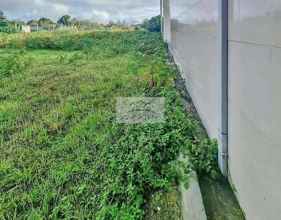Terreno para Venda em Ílhavo (São Salvador) Foto 3