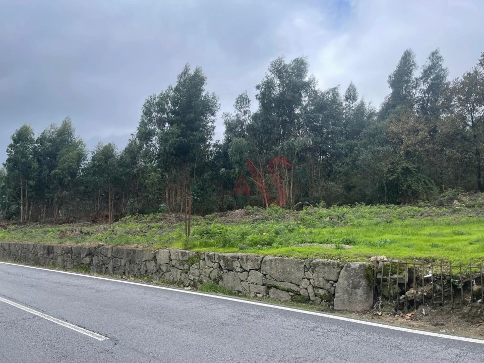 Terreno para Venda em Nespereira e Casais Foto 2