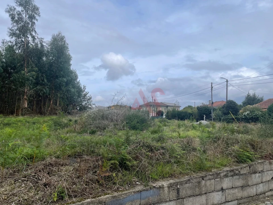 Terreno para Venda em Nespereira e Casais Foto 6