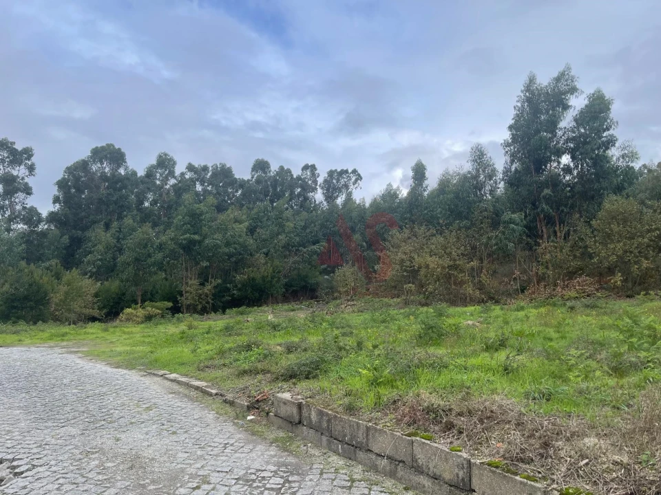 Terreno para Venda em Nespereira e Casais Foto 8