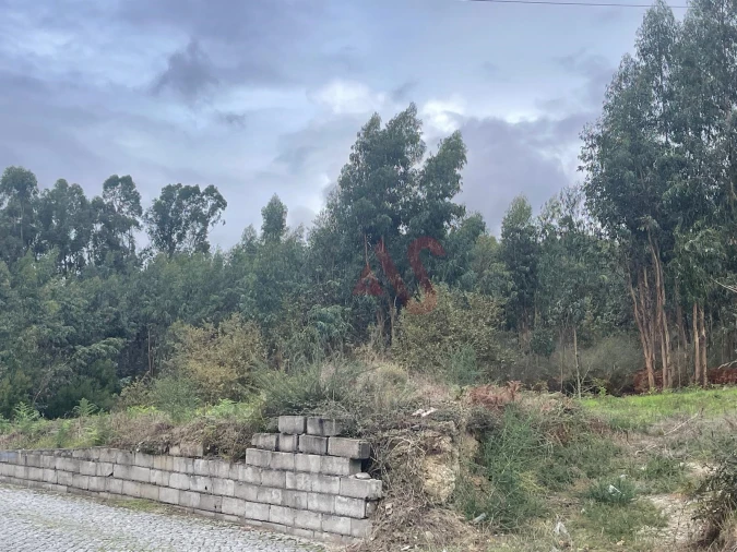 Terreno para Venda em Nespereira e Casais Foto 9
