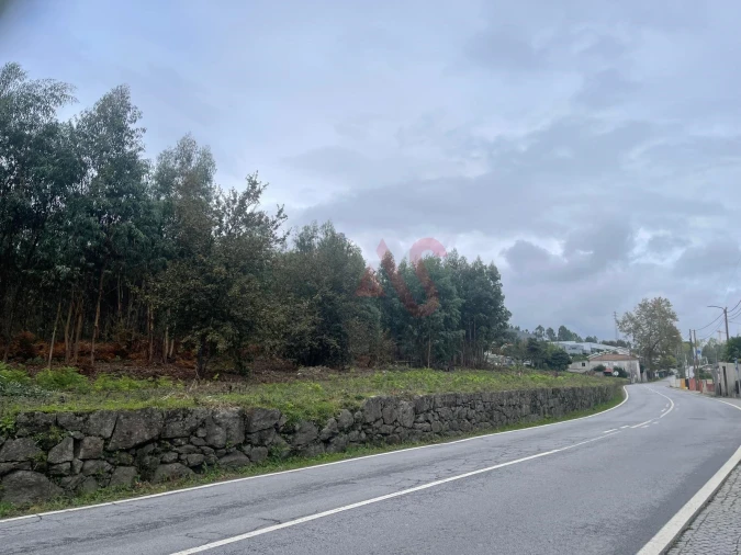 Terreno para Venda em Nespereira e Casais Foto 3