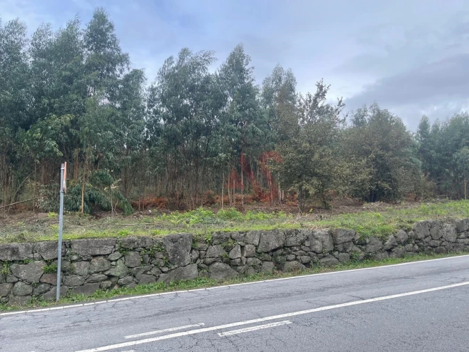 Terreno para Venda em Nespereira e Casais Foto 4