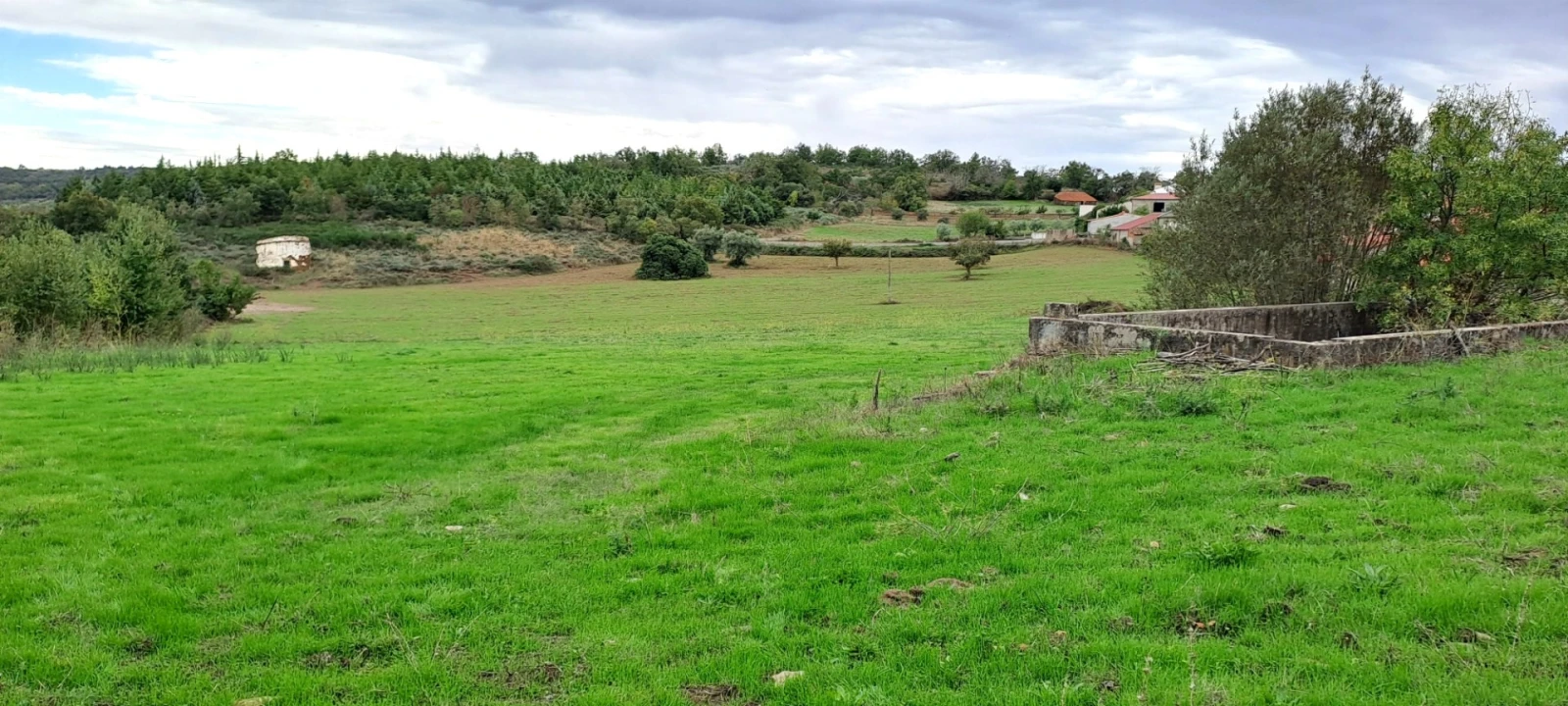 Quinta T5 para Venda em Travanca Foto 59