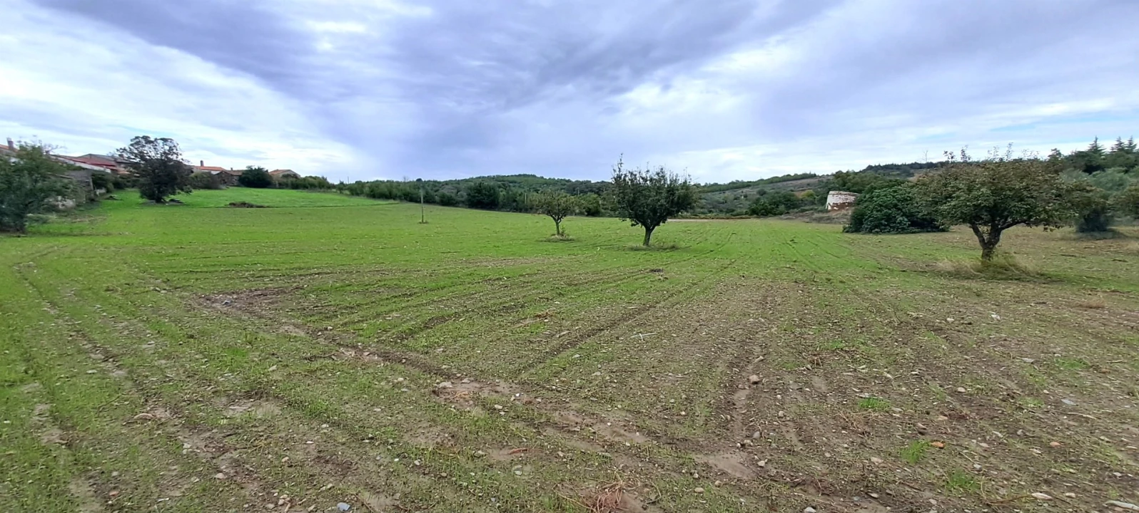 Quinta T5 para Venda em Travanca Foto 64