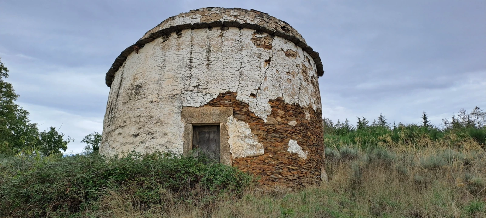 Quinta T5 para Venda em Travanca Foto 68
