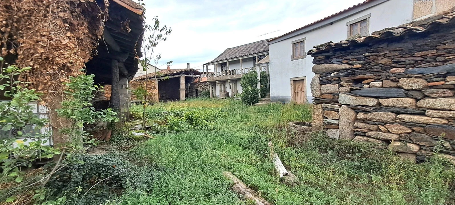 Quinta T5 para Venda em Travanca Foto 21