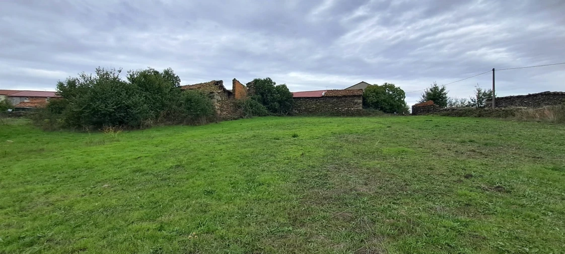 Quinta T5 para Venda em Travanca Foto 70