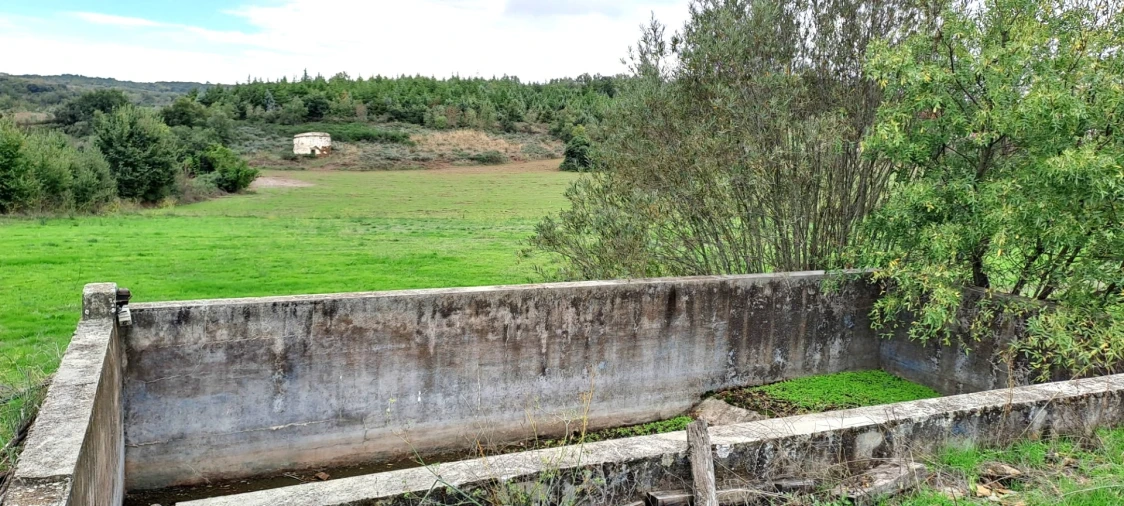 Quinta T5 para Venda em Travanca Foto 60