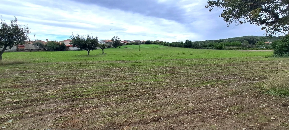 Quinta T5 para Venda em Travanca Foto 65