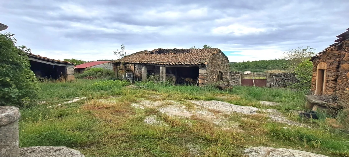 Quinta T5 para Venda em Travanca Foto 14