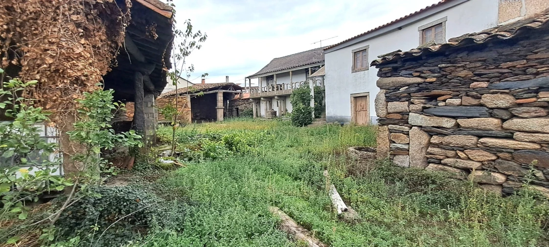 Quinta T5 para Venda em Travanca Foto 21