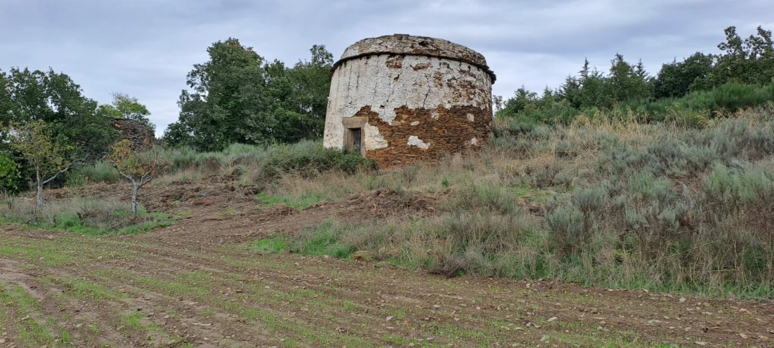 Quinta T5 para Venda em Travanca Foto 66