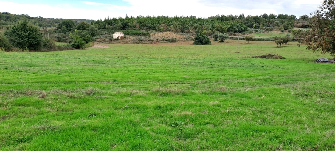 Quinta T5 para Venda em Travanca Foto 63