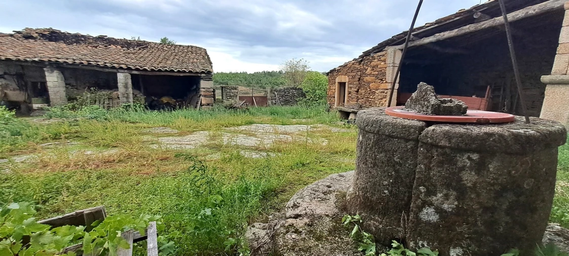 Quinta T5 para Venda em Travanca Foto 24