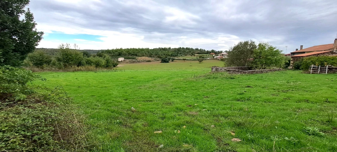 Quinta T5 para Venda em Travanca Foto 58