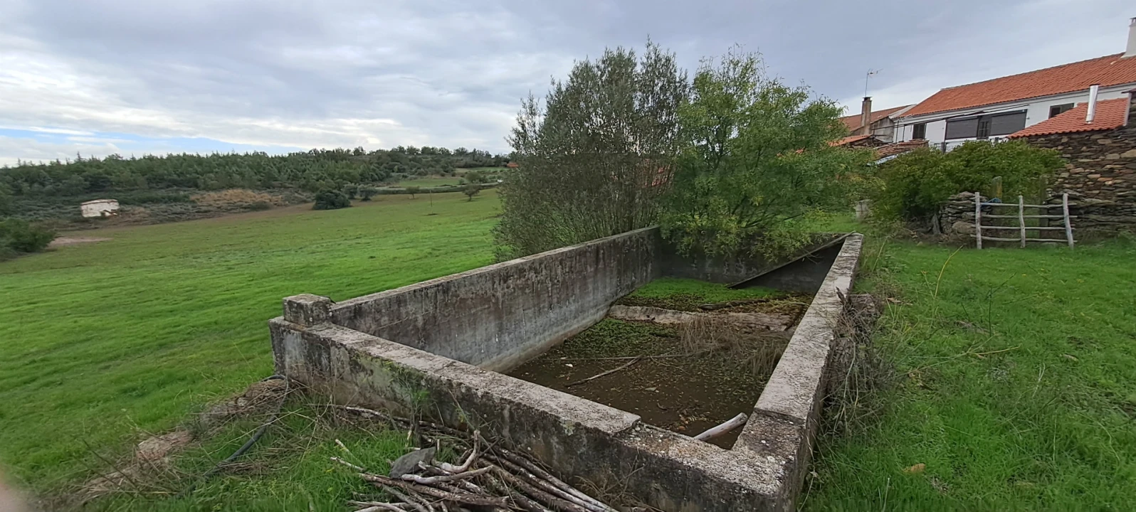 Quinta T5 para Venda em Travanca Foto 61