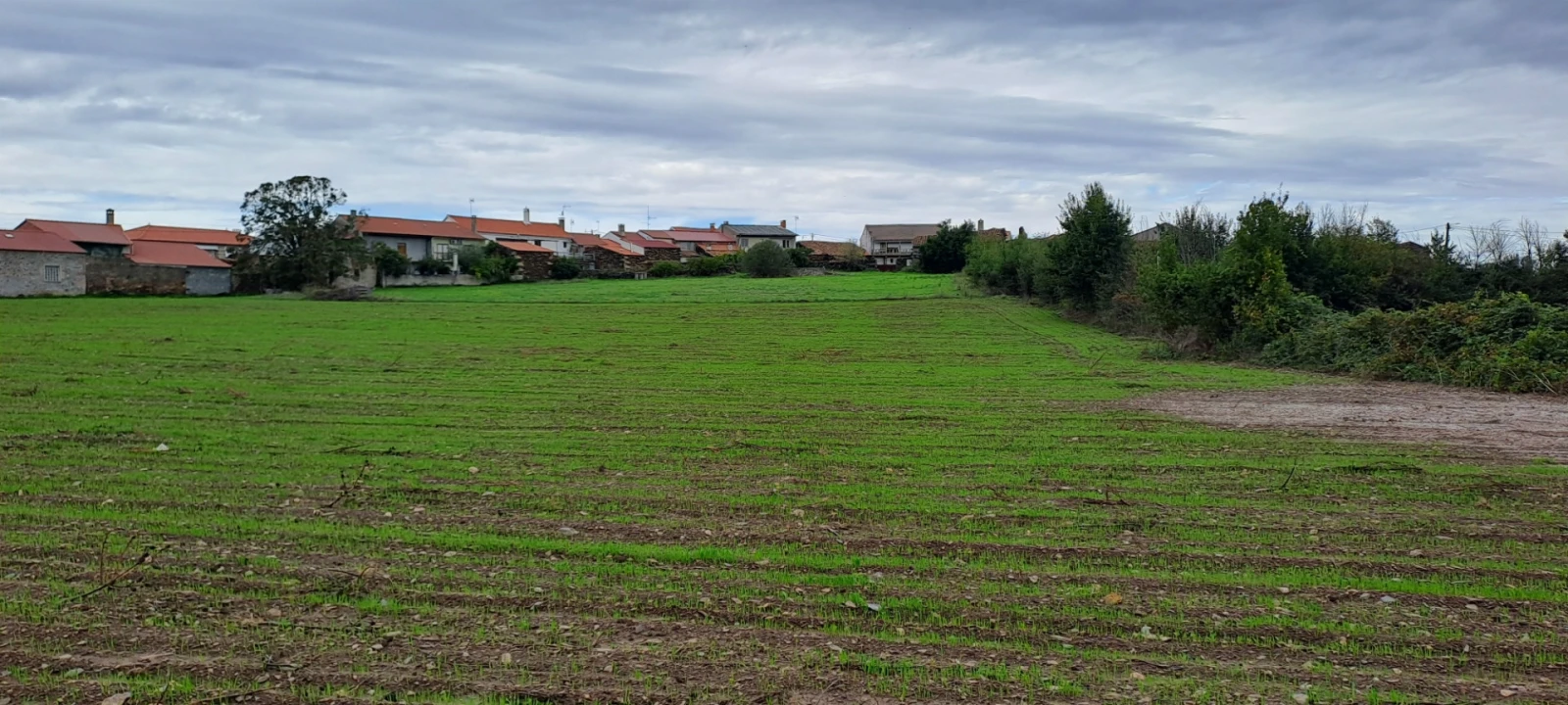 Quinta T5 para Venda em Travanca Foto 69