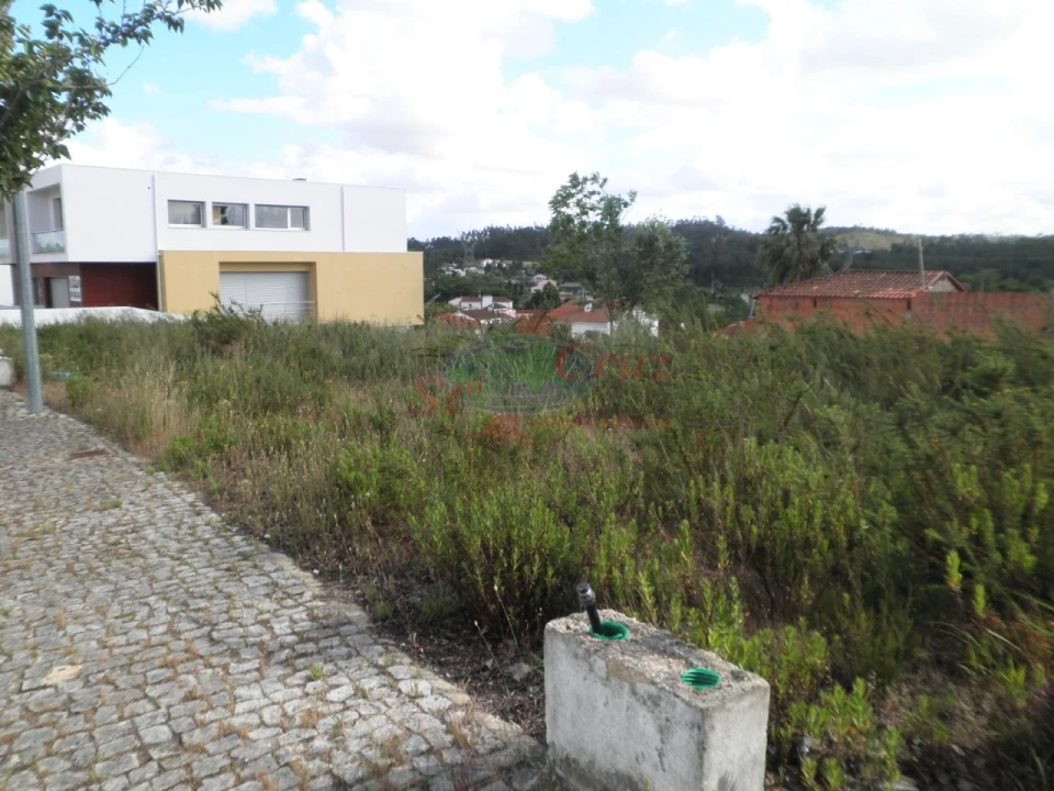 Terreno para Venda em Ançã Foto 2