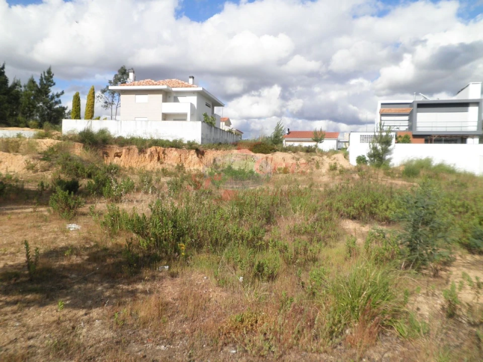 Terreno para Venda em Ançã Foto 4