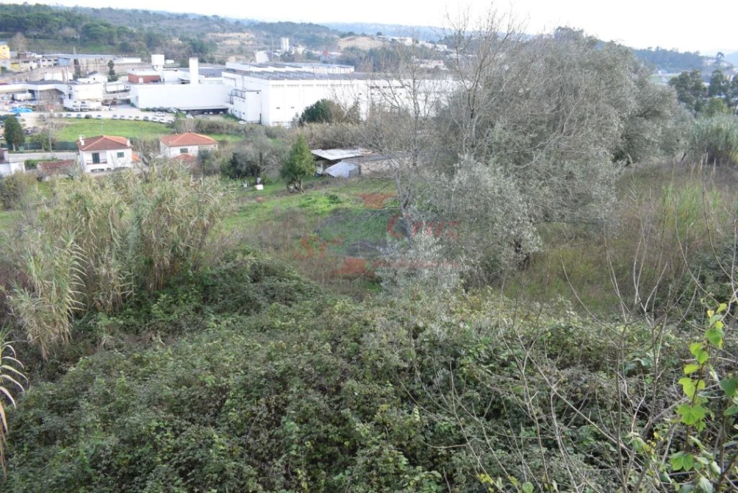 Quinta para Venda em Cernache Foto 10
