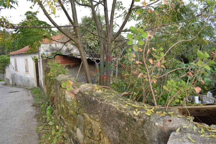 Quinta para Venda em Cernache Foto 15