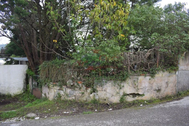 Quinta para Venda em Cernache Foto 16