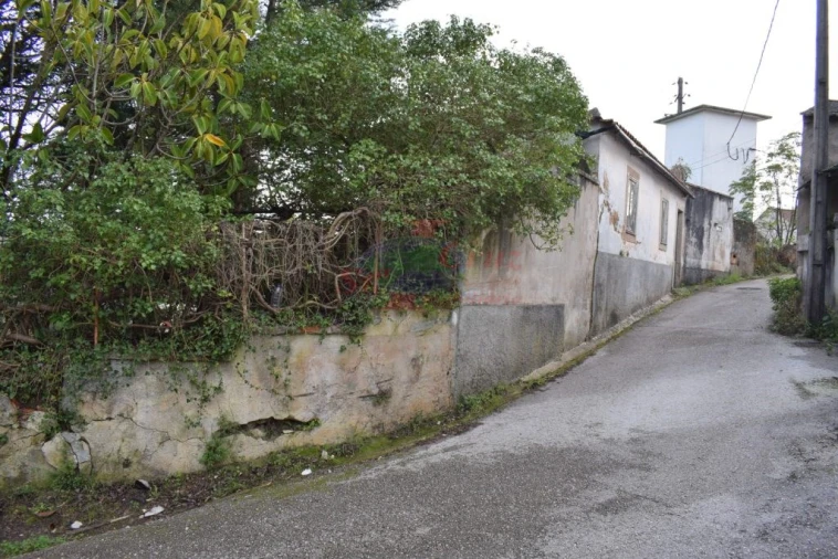 Quinta para Venda em Cernache Foto 17