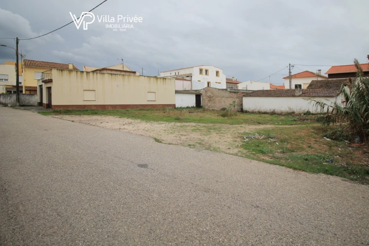 Terreno para Venda em São Pedro Foto 14